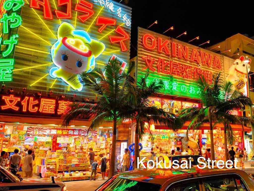 Cruise Ship Special 6 hours Okinawa Tour 2